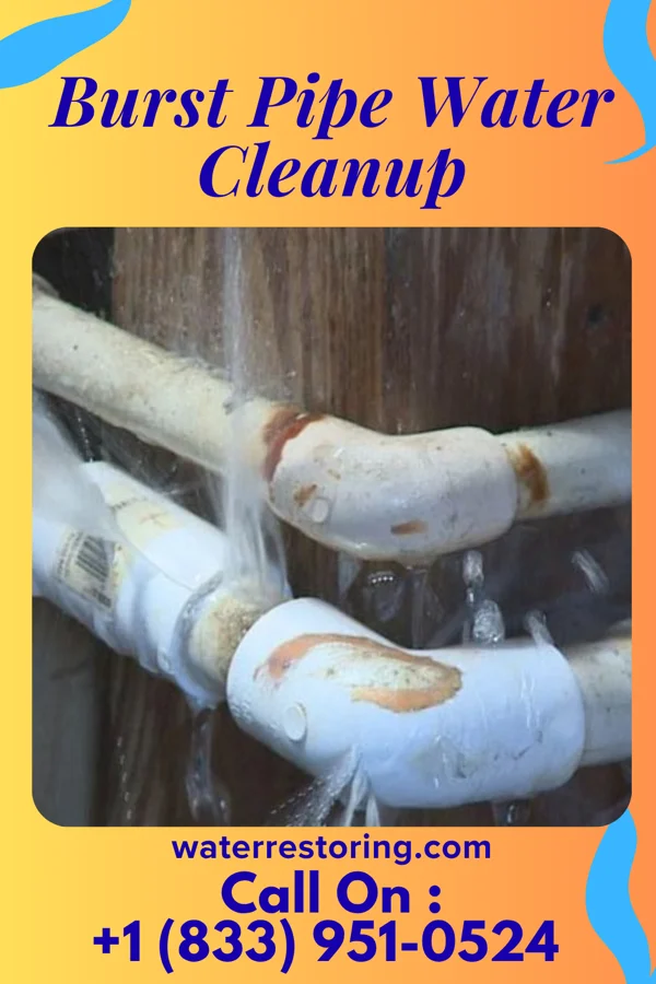 Burst Pipe Water Cleanup in Bay City, TX