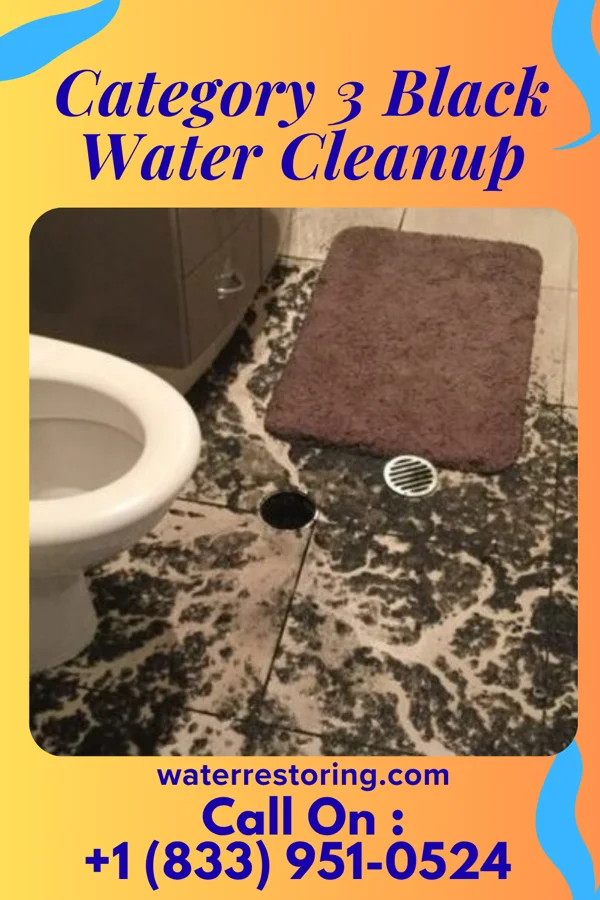 Category 3 Black Water Cleanup in Bay City, TX