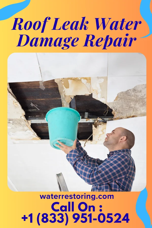 Roof Leak Water Damage Repair in Bay City, TX
