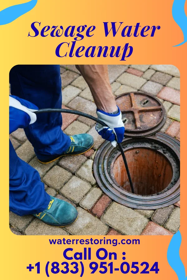 Sewage Water Cleanup in Bay City, TX