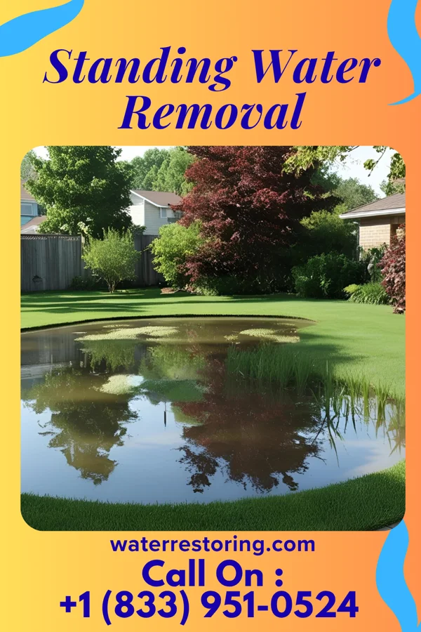 Standing Water Removal in Bay City, TX